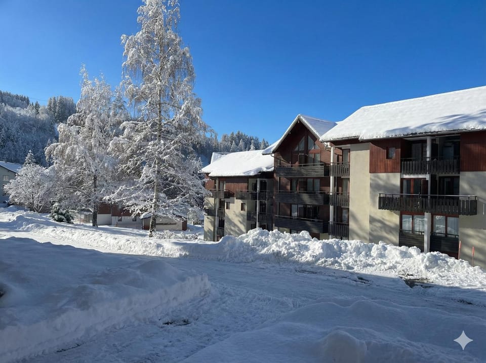 Property building, Natural landscape, Winter