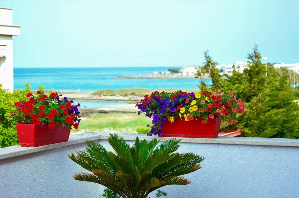 Sea view