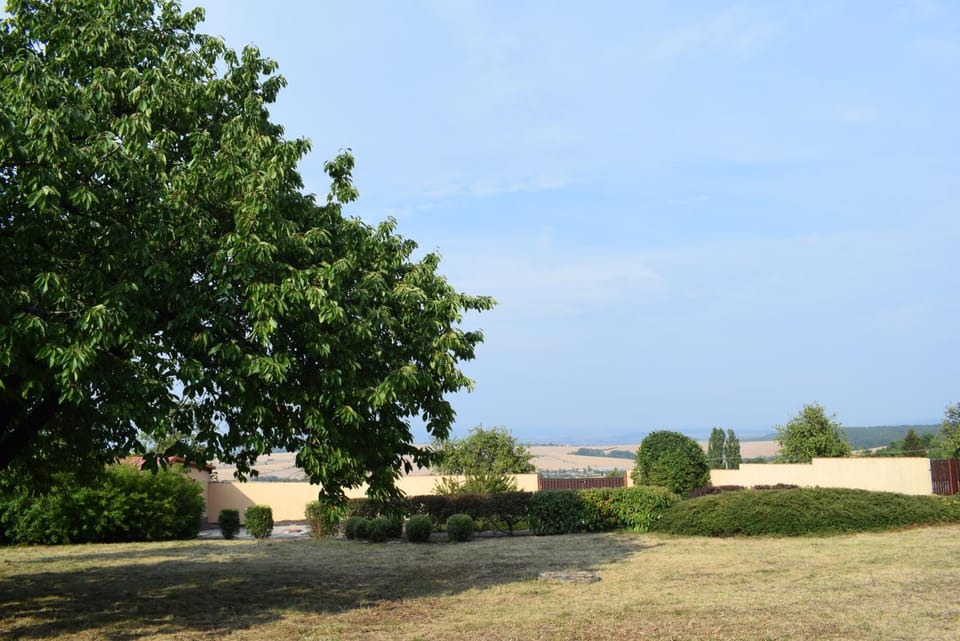 Natural landscape