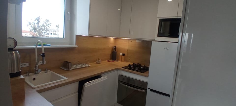 Kitchen or kitchenette, dishwasher, minibar, pet friendly, stove