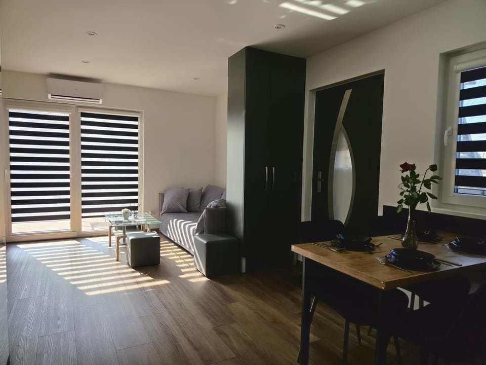 Living room, Seating area, Dining area, air conditioner