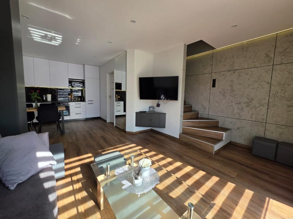 Communal lounge/ TV room, TV and multimedia, Kitchen or kitchenette, Living room, Seating area, Dining area, Evening entertainment, oven, air conditioner
