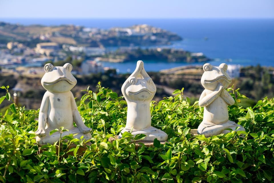Wild Pear Villa Villa in Crete