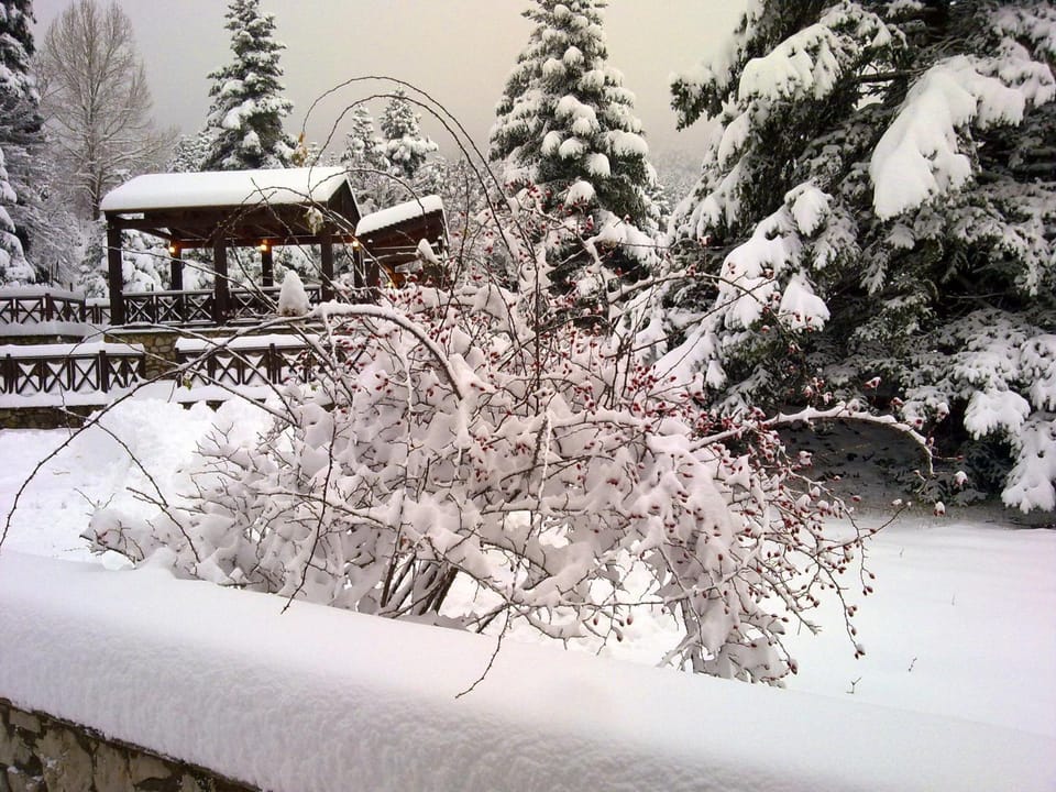 Natural landscape, Winter