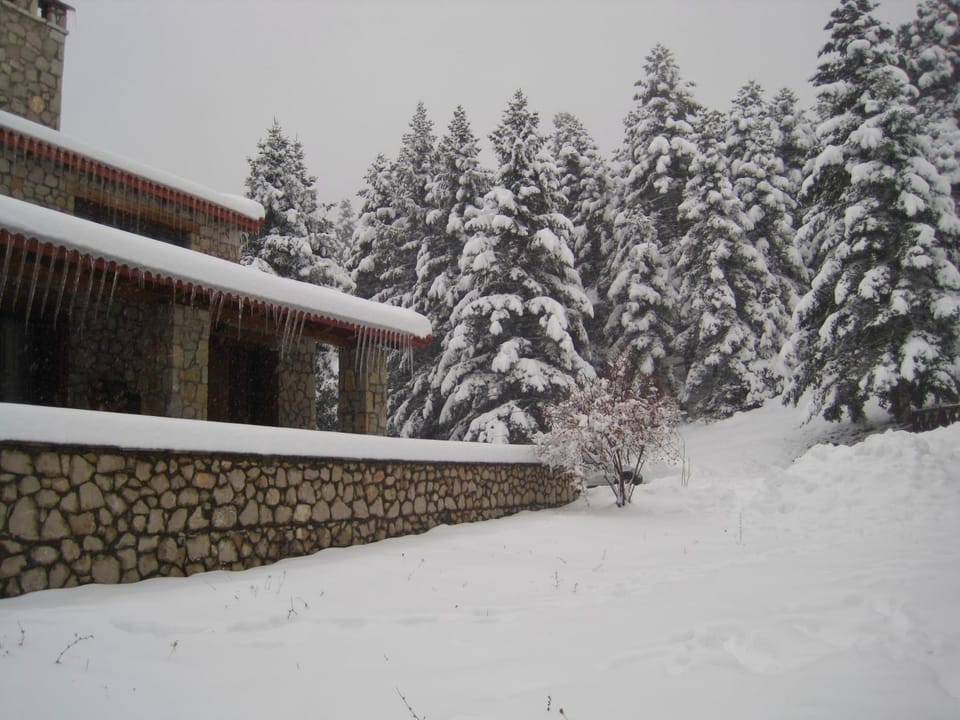 Natural landscape, Winter, Inner courtyard view