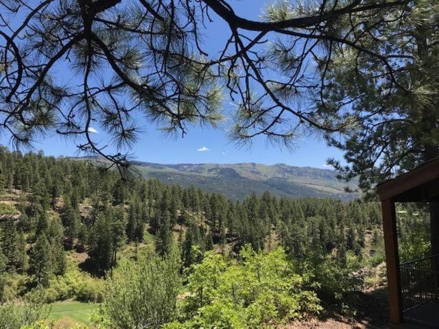 Tamarron HighPoint 63031 House in La Plata County