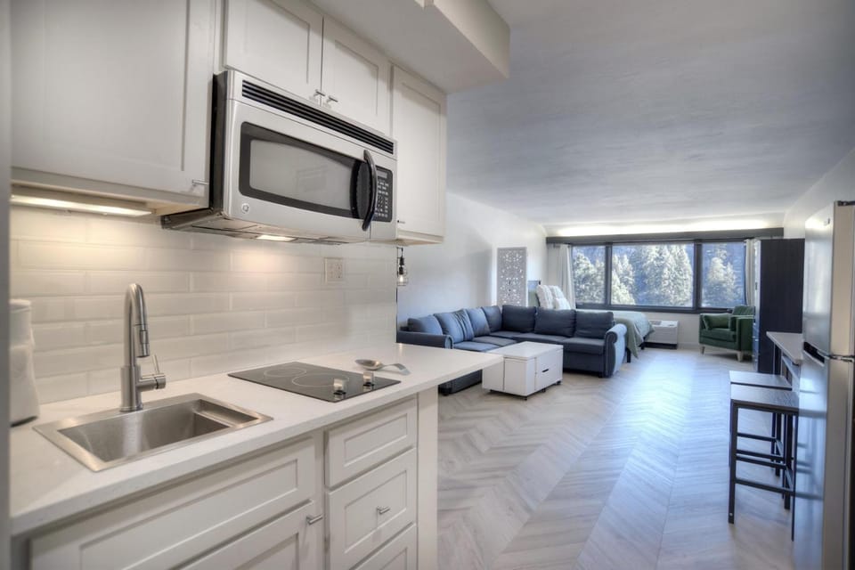 Tamarron Lodge Studio 343 House in La Plata County