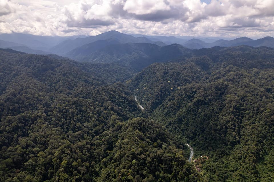 Sumatra Orangutan Treks Villa,Ethical & Eco-Friendly Jungle Trekking Activities Villa in Indonesia