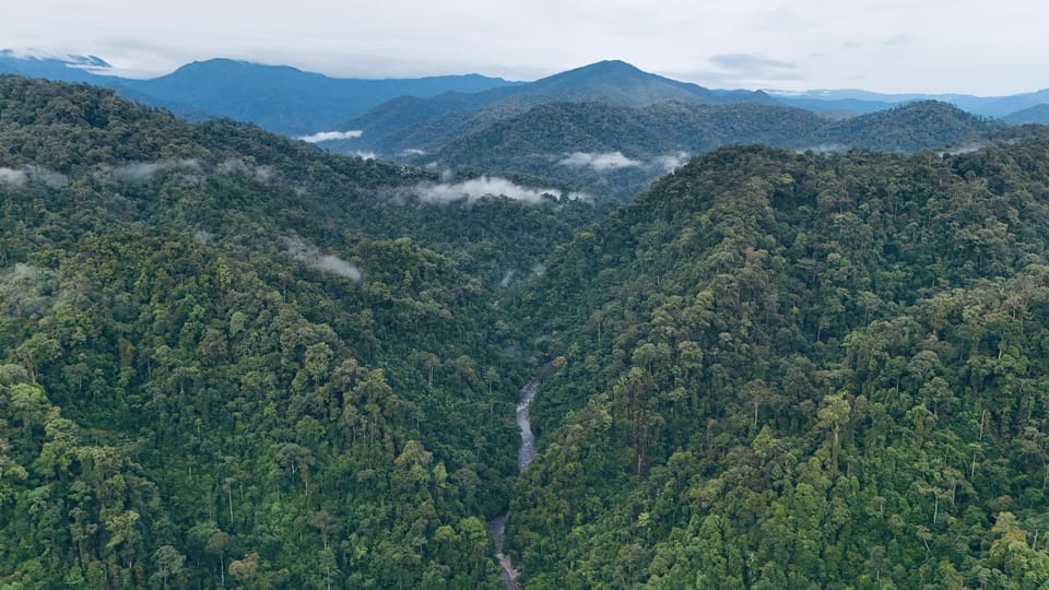 Sumatra Orangutan Treks Villa,Ethical & Eco-Friendly Jungle Trekking Activities Villa in Indonesia