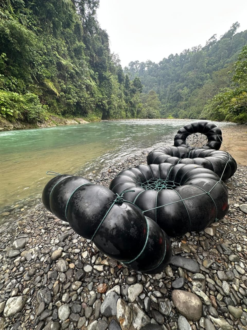 Sumatra Orangutan Treks Villa,Ethical & Eco-Friendly Jungle Trekking Activities Villa in Indonesia