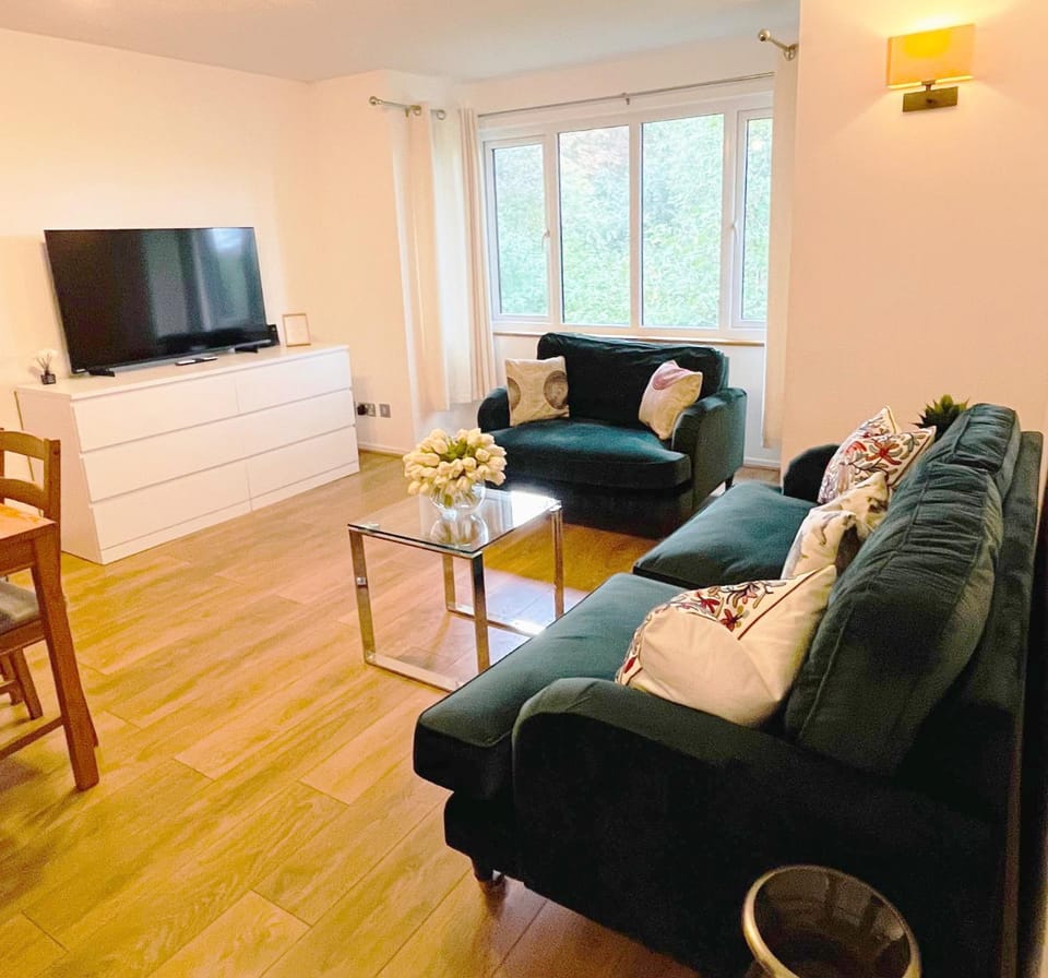 TV and multimedia, Living room, Seating area, Evening entertainment