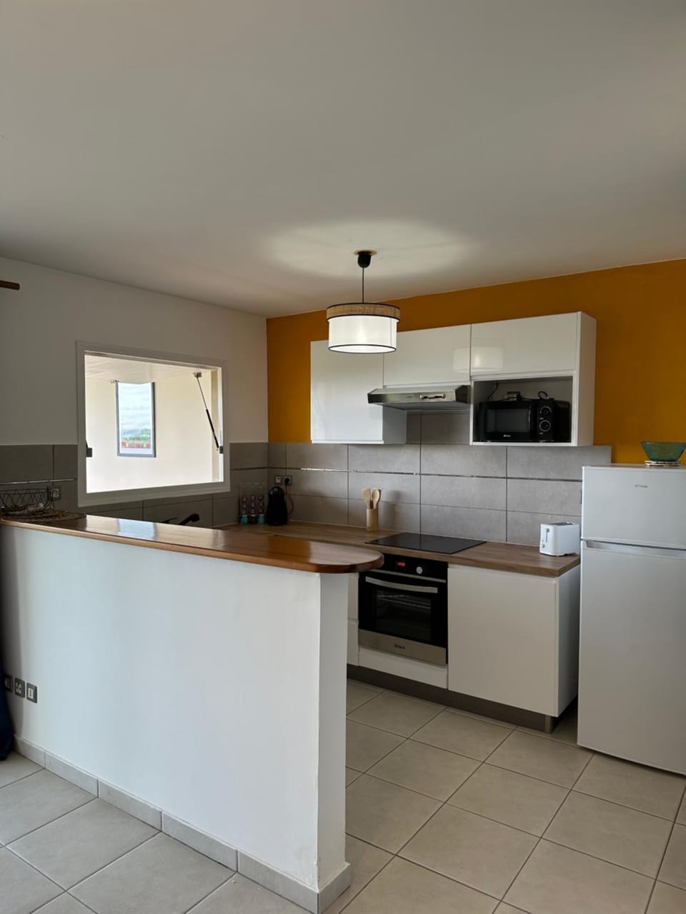 Kitchen or kitchenette, dishwasher, minibar, pet friendly, stove