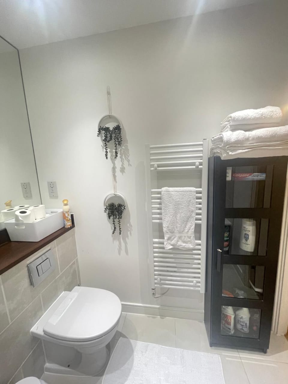 Toilet, Bathroom, towels