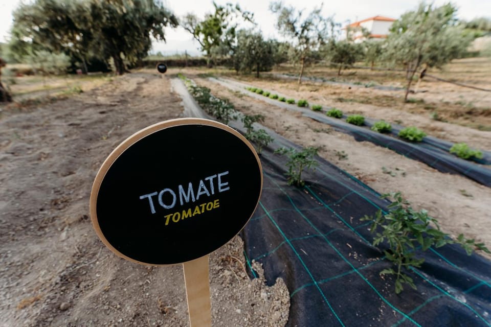 Quinta de S. Miguel House in Extremadura, Spain