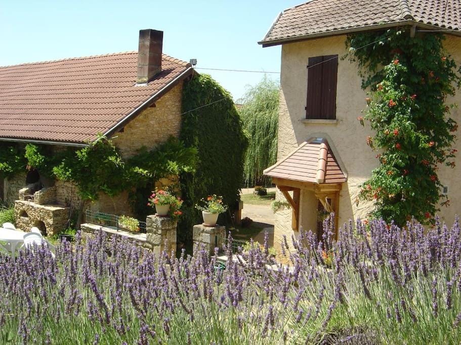 Maison traditionnelle au coeur d'une ferme House in Occitanie