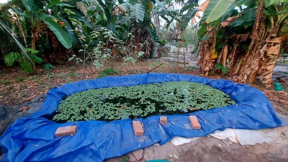 Grand marari Bed and Breakfast in Kerala