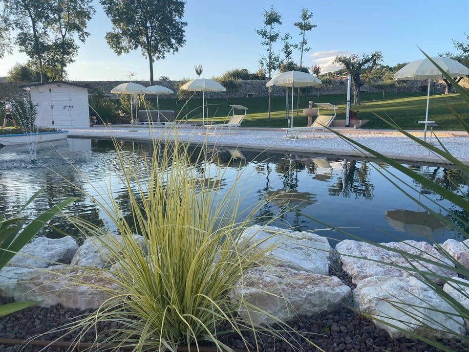 Natural landscape, Garden, Garden view