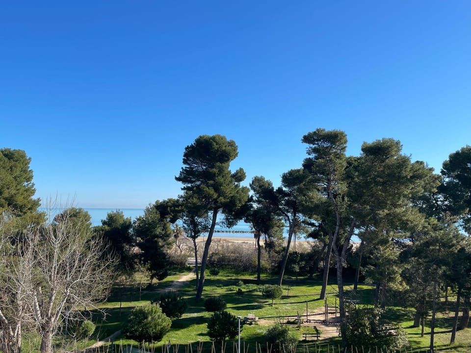 Garden view