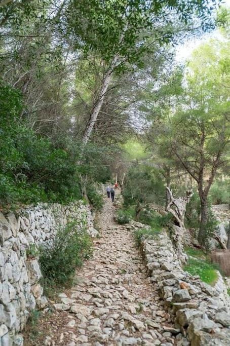 Villa Massana, excelentes vacaciones con piscina Villa in Sóller