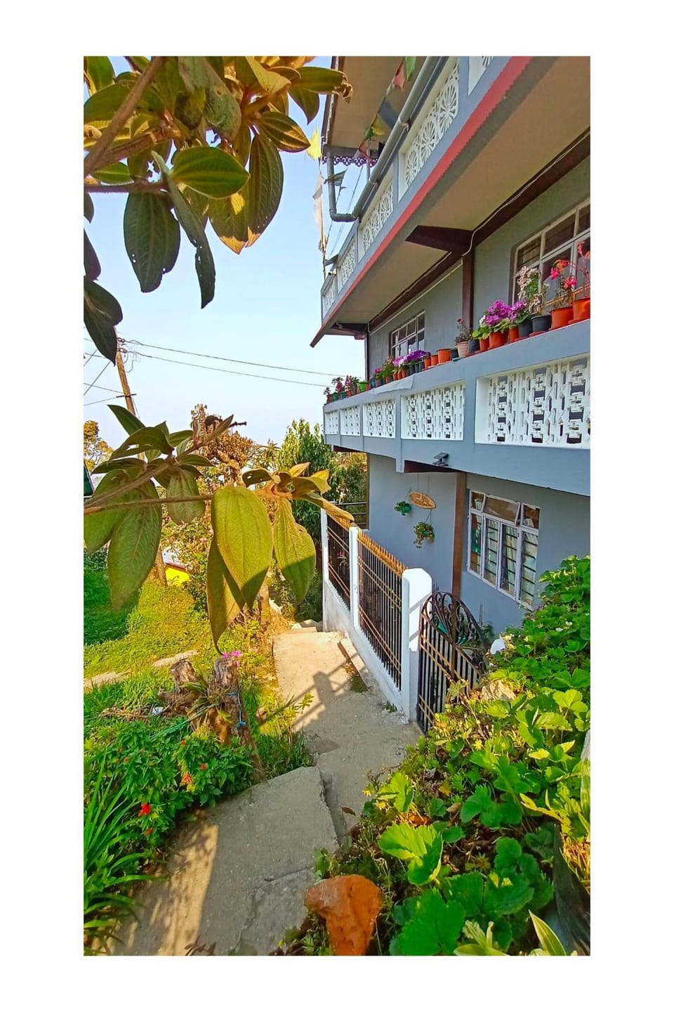 Property building, Spring, Garden