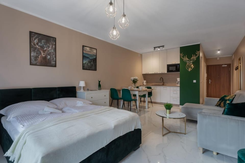 Bed, Kitchen or kitchenette, Living room, Photo of the whole room, Bedroom