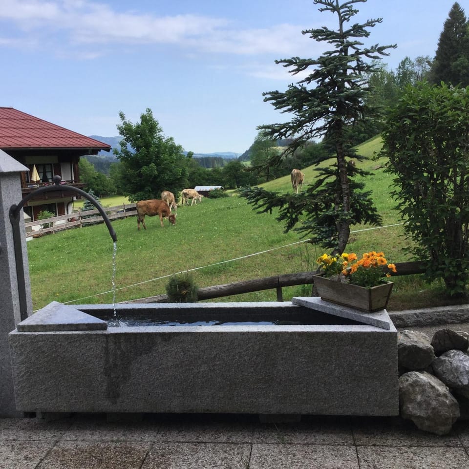 Day, Natural landscape, Garden, Garden view