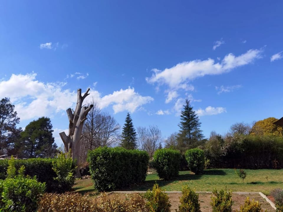 Garden view