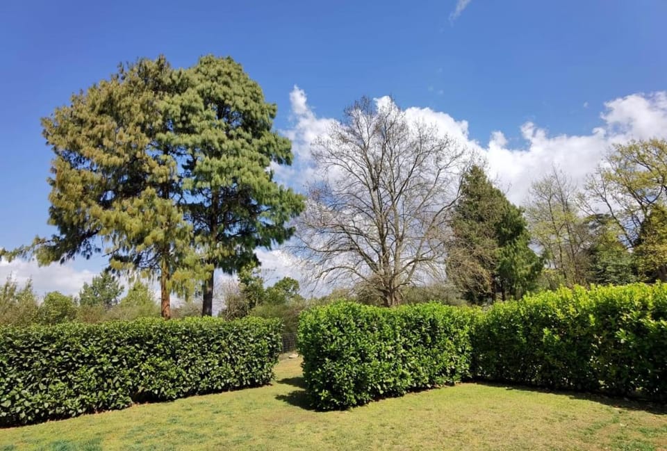 Garden, Garden view