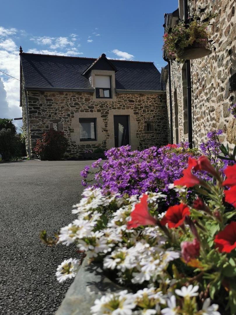 Le bel arbre Bed and Breakfast in Brittany