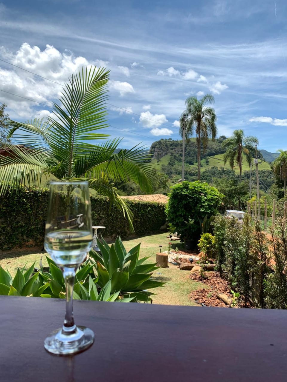 Day, Garden, Mountain view