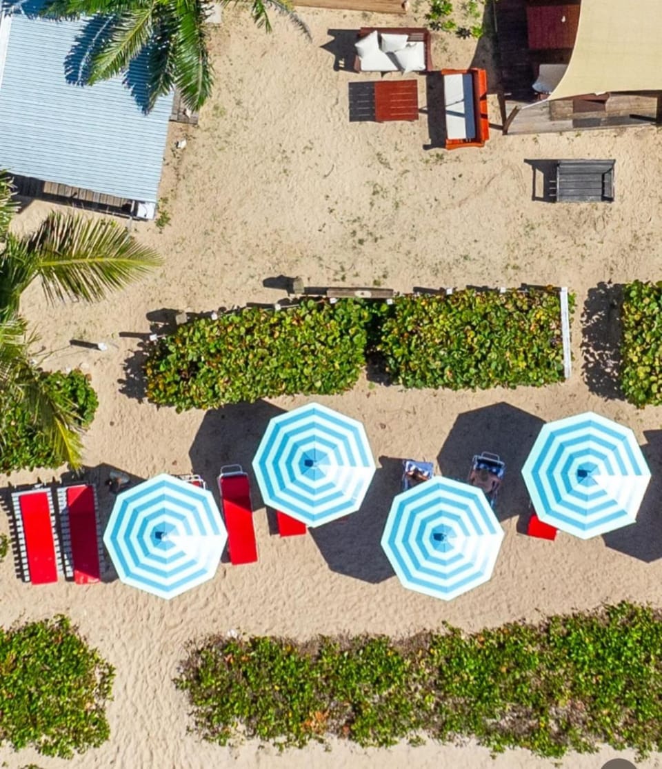 Bird's eye view, Garden, Beach, sunbed