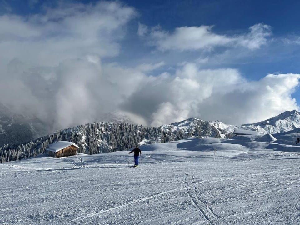Natural landscape, Winter