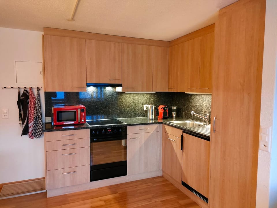 Camenzind Apartment in Nidwalden