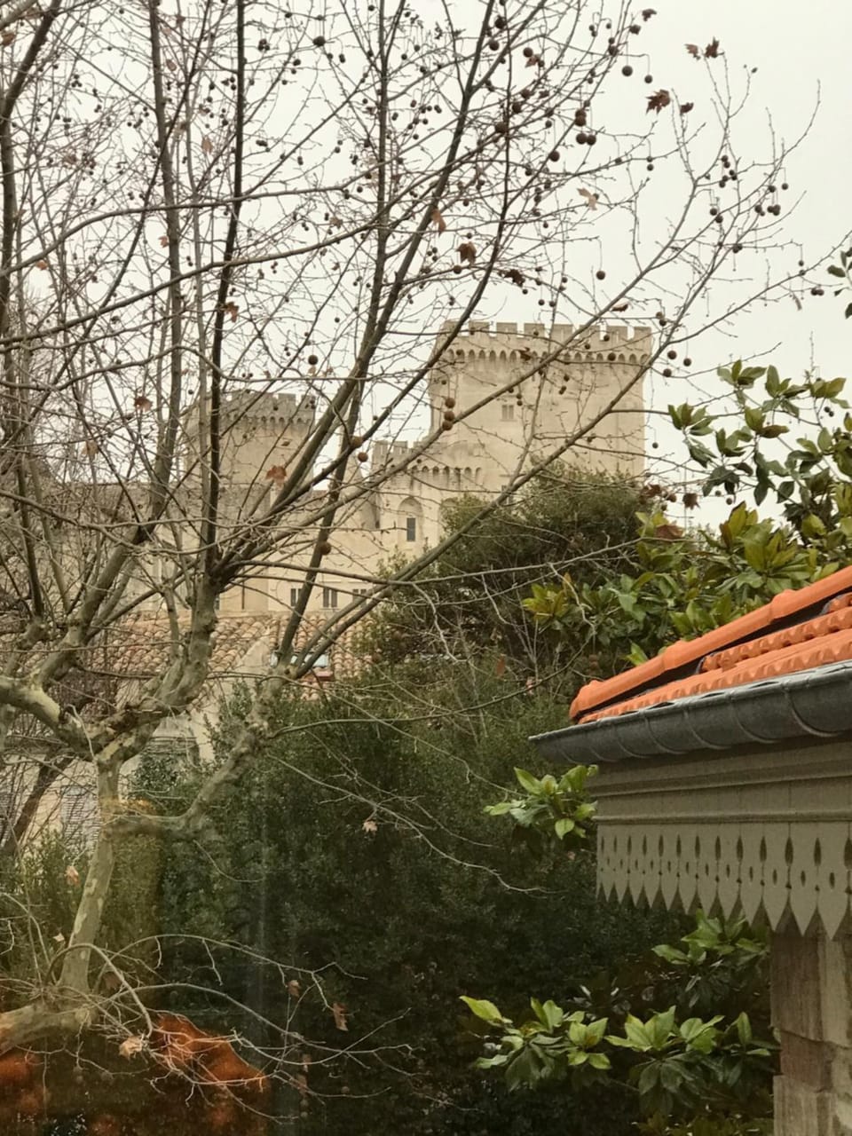 View (from property/room)