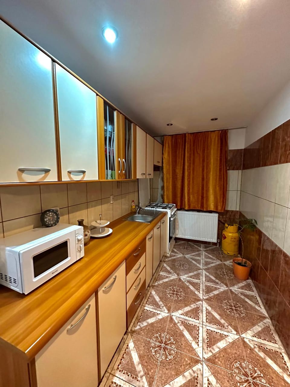 Apartament Băile Herculane Apartment in Serbia
