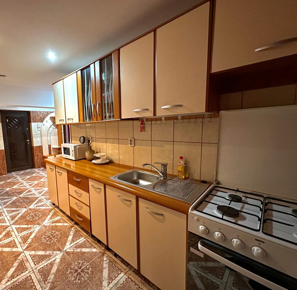 Apartament Băile Herculane Apartment in Serbia
