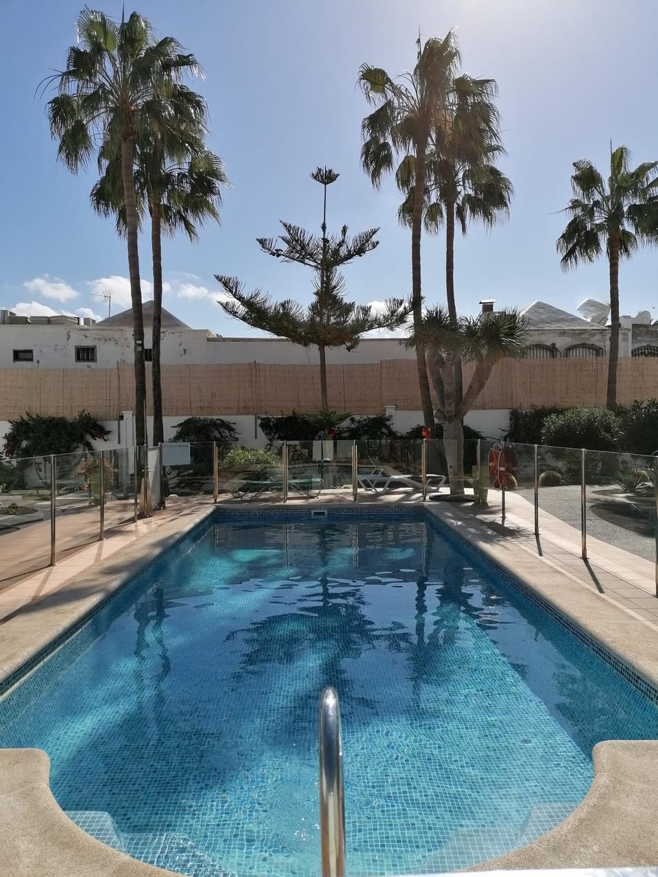 Day, Pool view, Swimming pool, sunbed