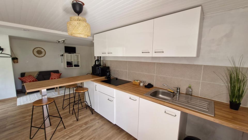 studio des Castors Apartment in Condrieu