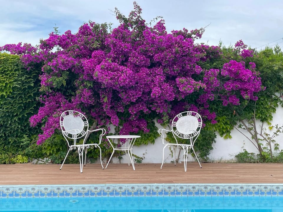 Garden, Garden view, Pool view, Swimming pool