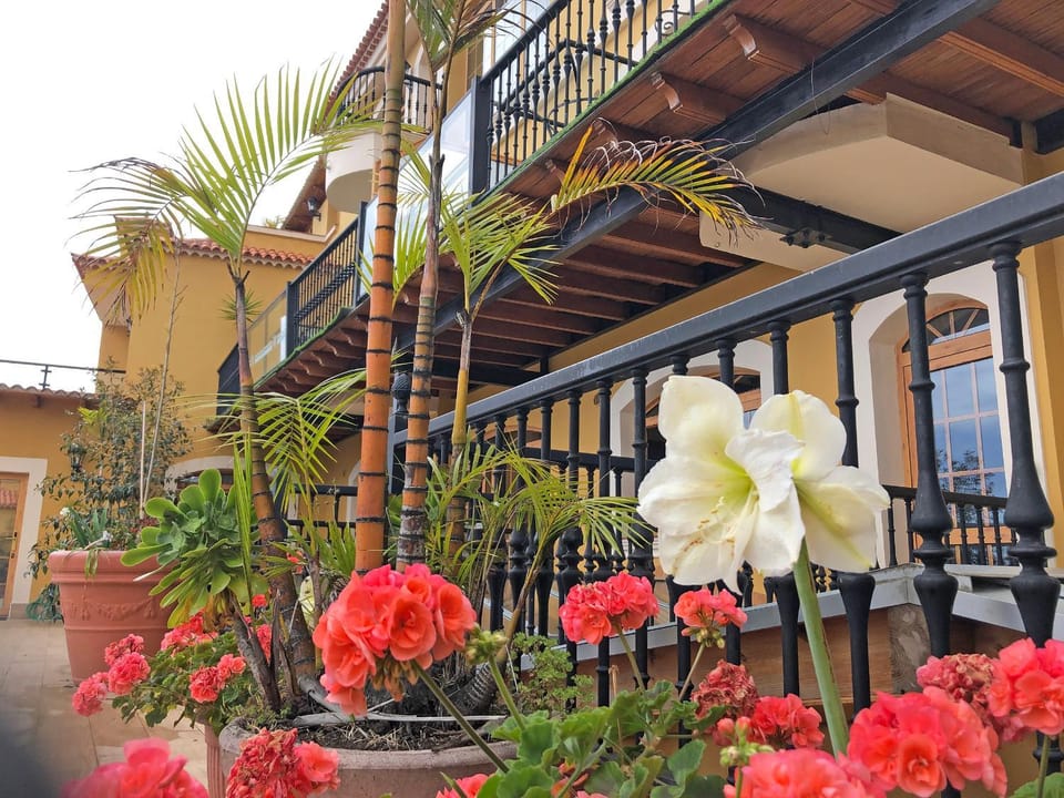 Property building, Balcony/Terrace, Garden view