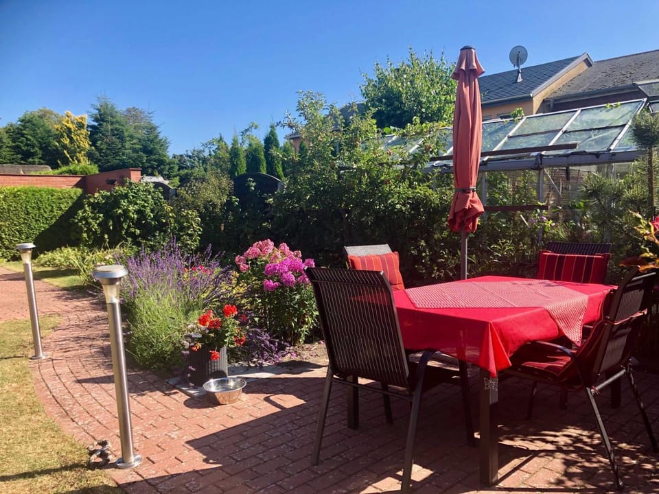 Patio, Garden view