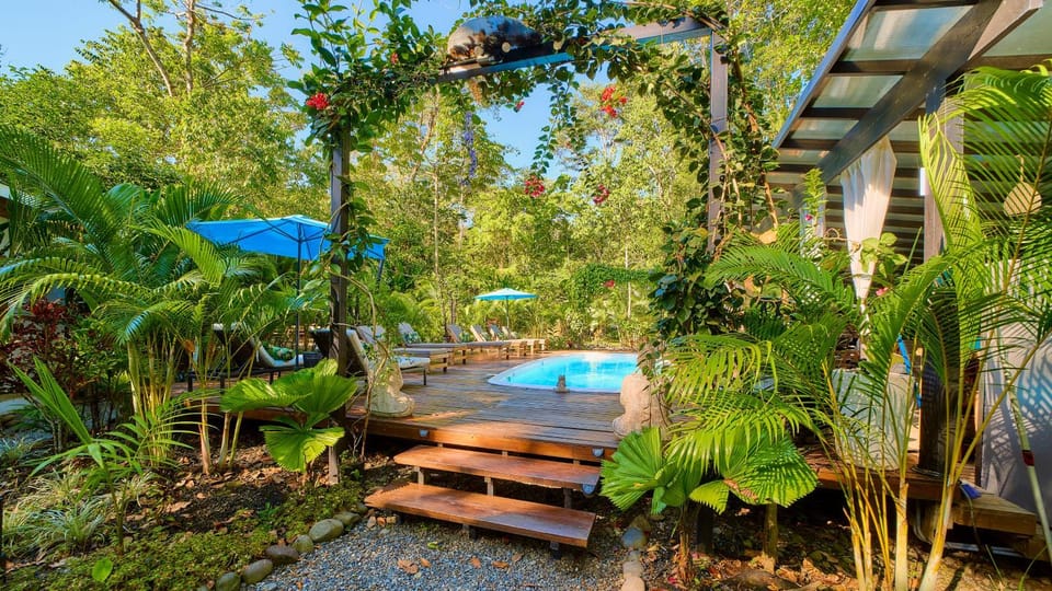 Patio, Garden, View (from property/room), Balcony/Terrace, Balcony/Terrace, Garden view, Swimming pool
