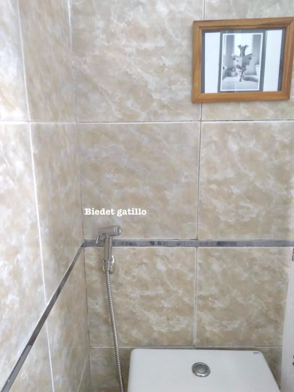 HERMOSO MONOAMBIENTE CENTRICO Apartment in Mar del Plata