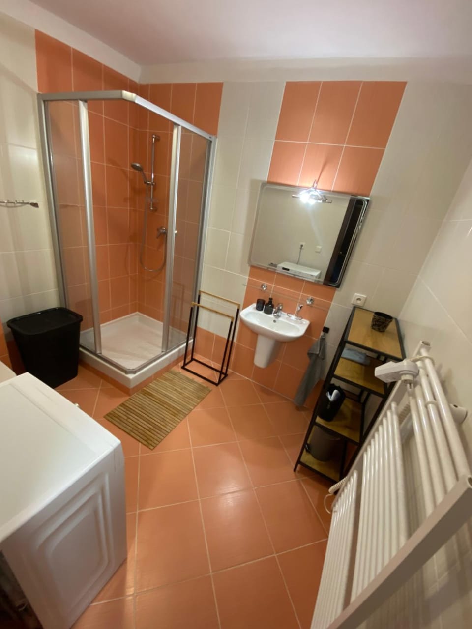 Shower, Bathroom, Photo of the whole room