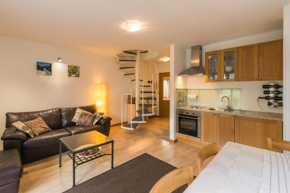 Kitchen or kitchenette, Living room, Photo of the whole room, Seating area, oven, stove