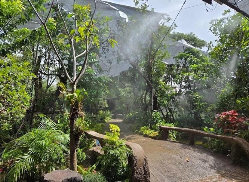 Tasana Garden Saraphi ทาซาน่าการ์เด้น สาขาสารภี Vacation rental in Thailand