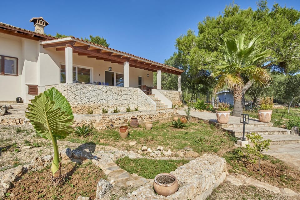 Patio, Garden, Garden view