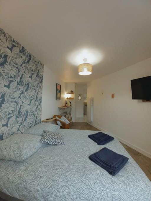 Studio Vue Mer Trestrignel Apartment in Perros-Guirec