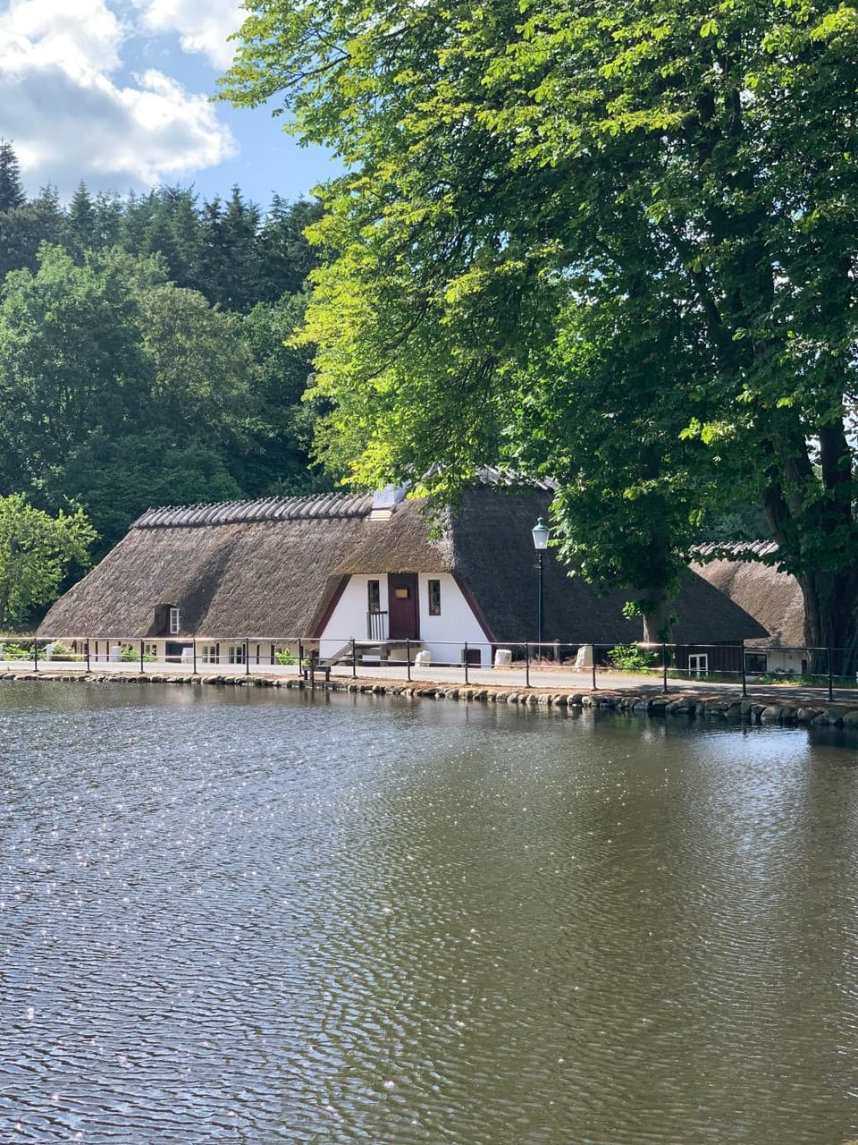 Lake view