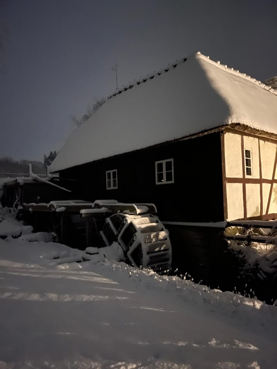 Winter